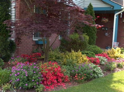 My perennial Spring border | Perennials, Garden, Plants