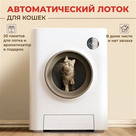 Автоматический лоток туалет для кошек, собак - купить с доставкой по ...