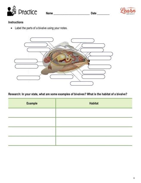 Phyla Mollusca And Echinodermata STEM Worksheets Library