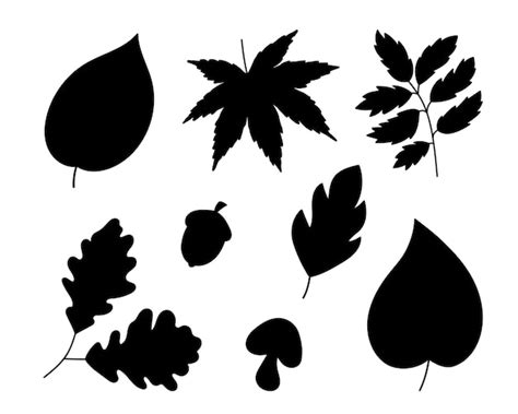 Premium Vector | Black leaf silhouette in modern style. vector isolated set. organic beauty ...