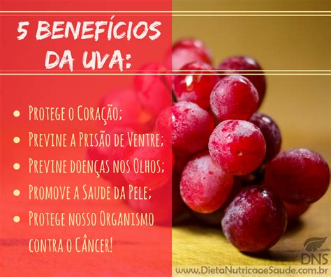 Além De Todos Este Benefícios A Uva Também é Fonte De Dieta Nutrição E