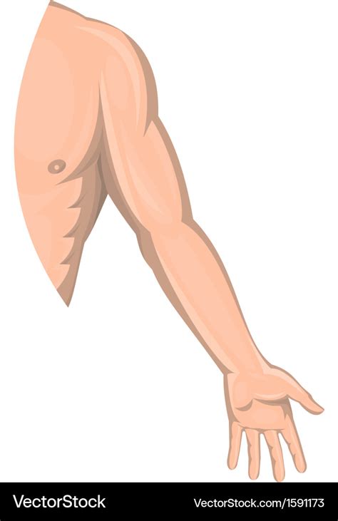 Human Male Arm Side View