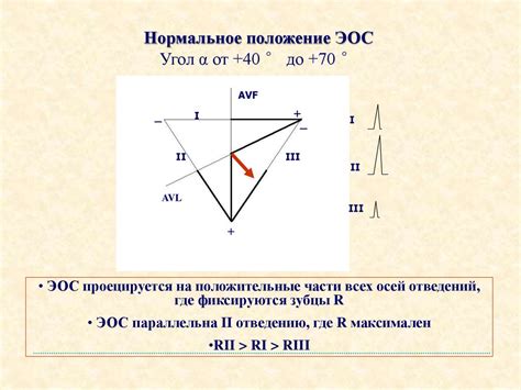 Нормальная ЭКГ - презентация онлайн