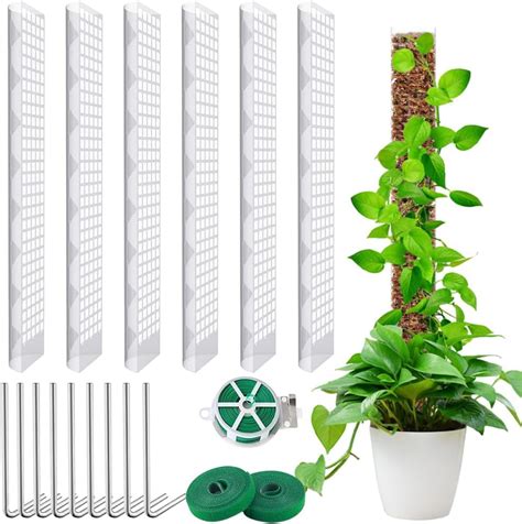 OFFCUP Moosstab Pflanzstab 4pcs Monstera Rankhilfe Monstera Mit 12