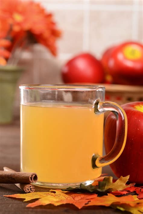 Crock Pot Hot Apple Cider Recipe