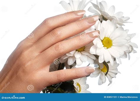 Le Belle Dita Femminili Con Il Rosa Pastello Manicure I Fiori