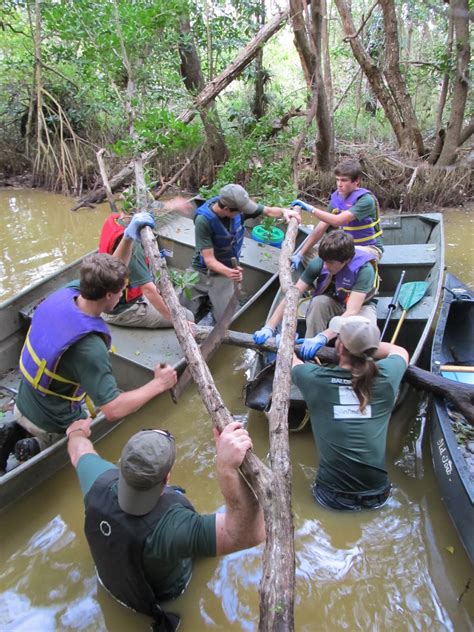 Hawk Mountain Conservation Corps Migrates South: First Encounter with the original, "Swamp Ape ...