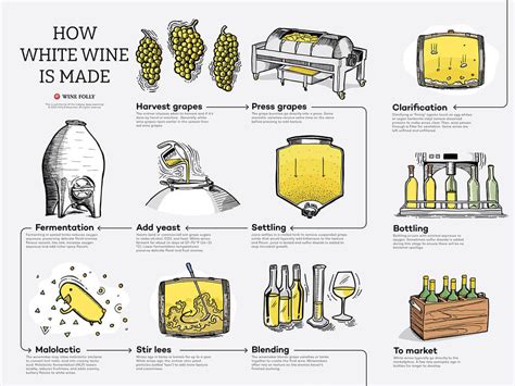 Wine Fermentation Process Step By Step At Margaret Hernandez Blog