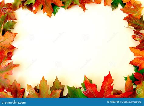 Fall Leaves Border On White Stock Image - Image: 1287781