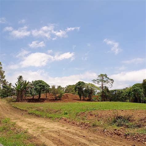 Sqm Farm Lot In Cavite For Sale With Cool Climate Near Tagaytay