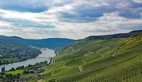 Pikante Balance Wehlener Sonnenuhr Auslese Von Schloss Lieser Alles