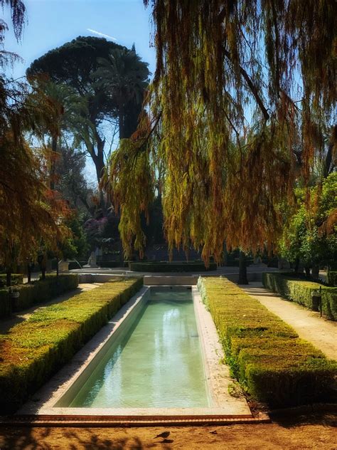 The Gardens Of Seville Kate Willmer Flickr