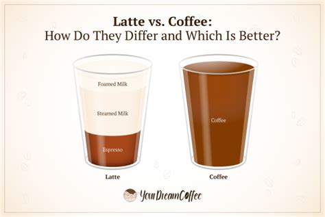 Latte vs. Coffee: How Do They Differ and Which Is Better?