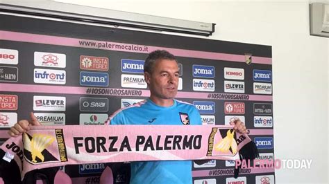 Palermo Bologna Le Probabili Formazioni Tornano Posavec E