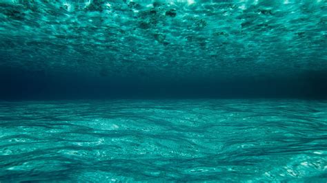 Ocean Wallpaper Underwater