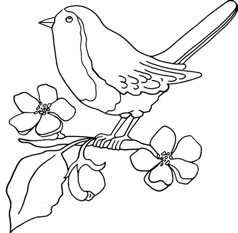 Dessin Coloriage Oiseau A Imprimer Setianvnty