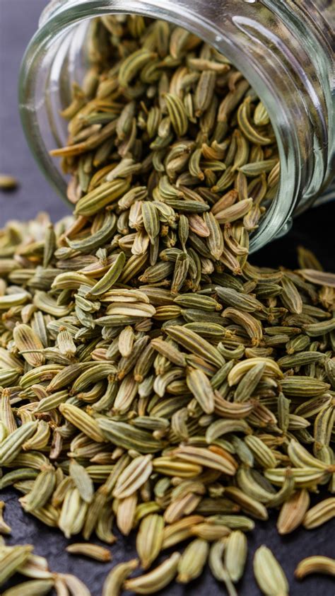 Amazing Health Benefits Of Fennel Seeds