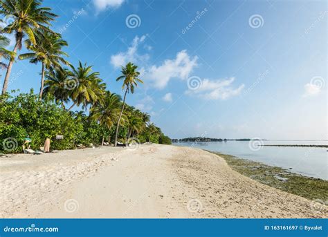 Plage De Bikini Sur L île D Huraa Maldives Photographie éditorial Image du dame romantique