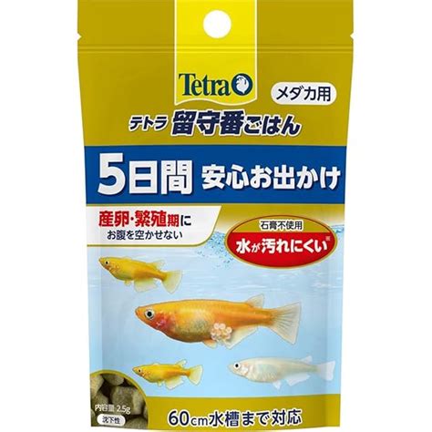 春新作の 3日間フード 熱帯魚用 4個×