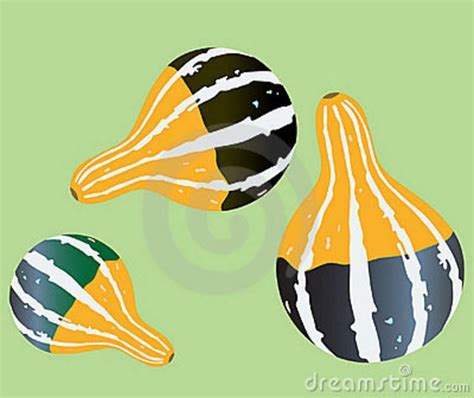 Gourd Illustrations