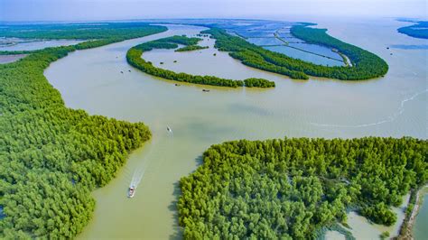 广东生态一线⑤ 湛江：掀起建设“红树林之城”热潮isenlincn