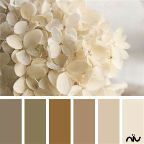 Ivory color palette, Wedding color pallet, Brand color palette