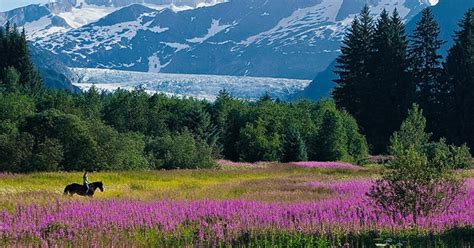 Juneau: City Highlights Tour | GetYourGuide