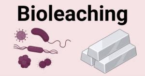 Bioleaching: Microorganisms, Types, Factors, Applications