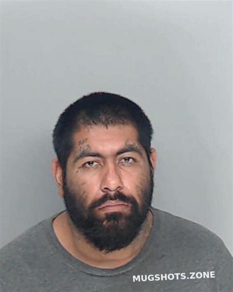 Mata Luis Nueces County Mugshots Zone