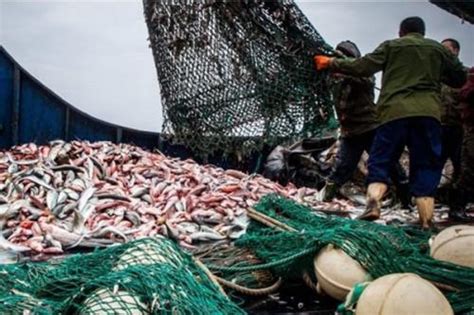 Lutte contre la pêche illicite le Cameroun renforce son arsenal sous