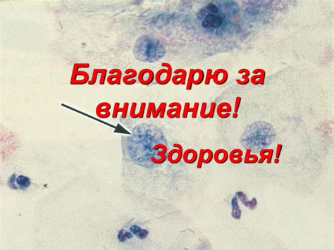 Клиническая цитология. Воспалительные заболевания шейки матки ...