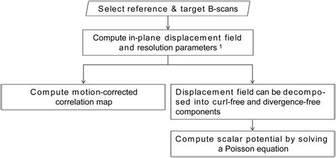 Flowchart Of Oct Image Processing Download Scientific Diagram