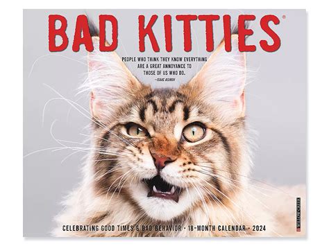 Bad Cat 2024 Calendar Brier Annemarie