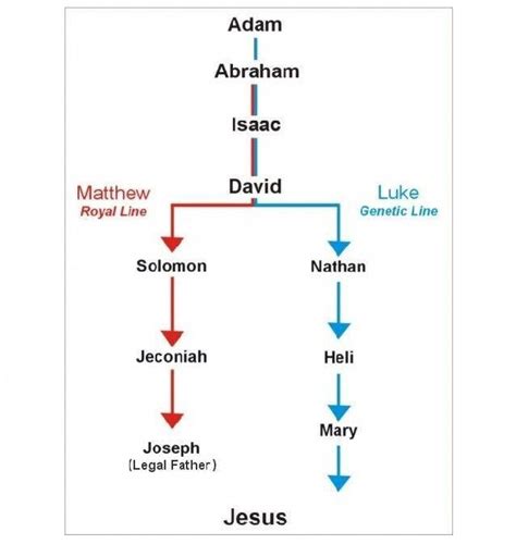 Genealogy Of Jesus Printable Chart