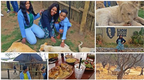 LION PARK AND SAFARI VLOG HARTBEESPOORT VLOG DAY OUTING NORTH WEST