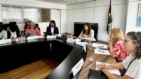 Deputada Federal Fl Via Morais Recebida Em Audi Ncia Pela Ministra