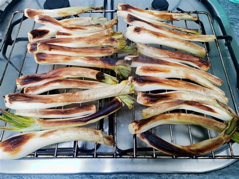 Cómo hacer calçots al horno receta fácil