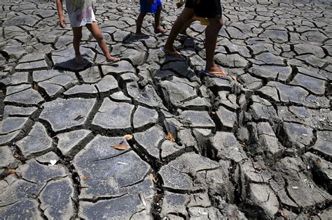 R Chauffement Climatique L Homme N Est Pas Le Seul Responsable