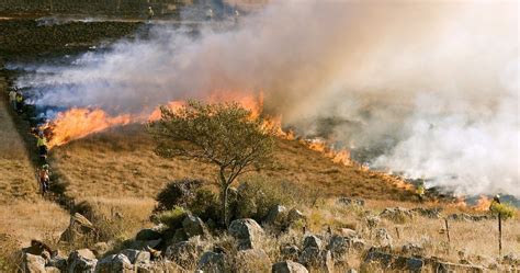 Investigating Wildfires Northern Ireland Develops A Vegetation Fire