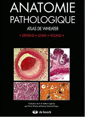 Anatomie Pathologique Le Monde De Kam Lia