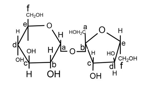 The structure of a disaccharide formed by glucose and class 12 ...