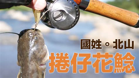 國姓。北山 捲仔花鯰 乾峰橋 1p 斗山吊橋 2p 路亞 國姓 何氏棘魞 捲仔 花鯰 Artzufishing Youtube