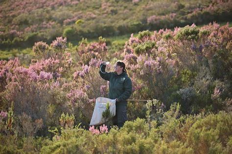 support  local community  travelling