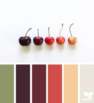 Fresh Hues Design Seeds Design Seeds Color Palette Seeds Color