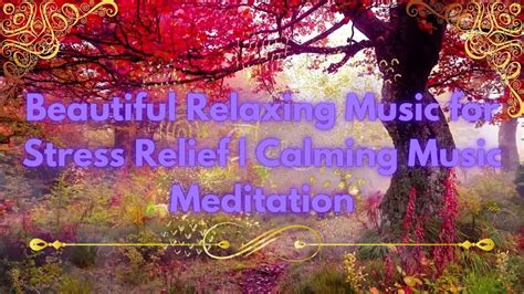 Relaxing Zen Music Sounds • Peaceful Ambience For Spa Yoga And