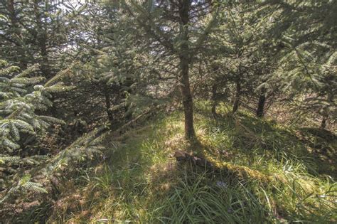 Collochan Castle - The Castle Guide