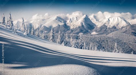 Winter Mountain Scenes