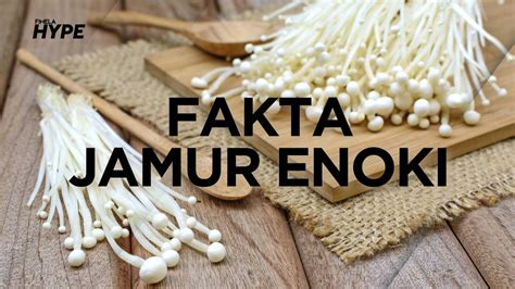 Fakta Jamur Enoki Yang Dikaitkan Penyebab Wabah Listeria Fimela Vidio