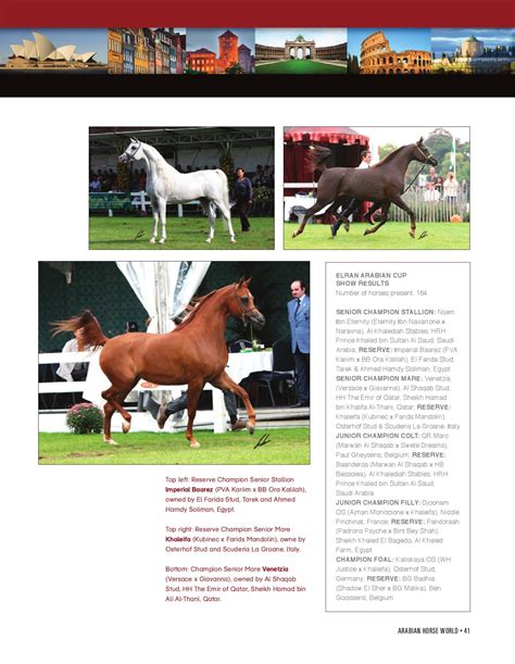 International Arabian Horse Shows by Arabian Horse World - Issuu