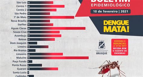 Brusque registra dois novos casos de dengue veja boletim epidemiológico